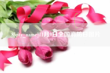 荣成11月9日全国消防日图片