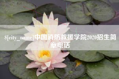 荣成中国消防救援学院2020招生简章电话