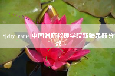 荣成中国消防救援学院新疆录取分数