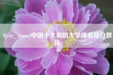 荣成中国十大消防大学排名及分数线