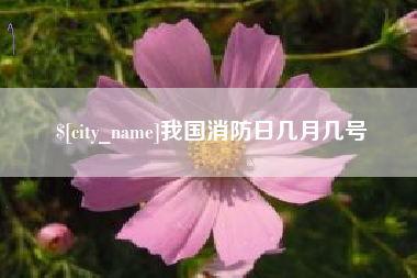 荣成我国消防日几月几号