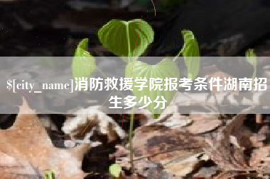 荣成消防救援学院报考条件湖南招生多少分