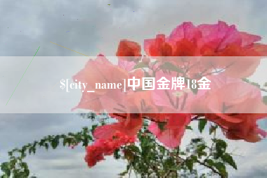 荣成中国金牌18金