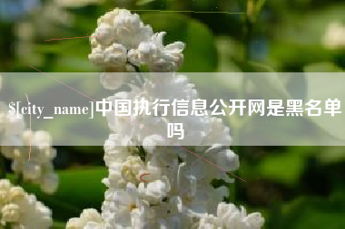荣成中国执行信息公开网是黑名单吗