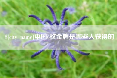 荣成中国6枚金牌是哪些人获得的