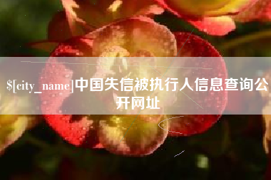荣成中国失信被执行人信息查询公开网址