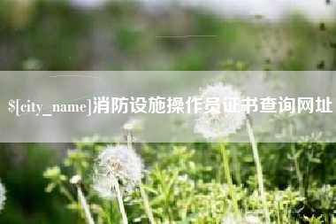 荣成消防设施操作员证书查询网址