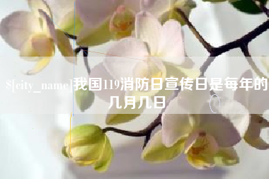 荣成我国119消防日宣传日是每年的几月几日