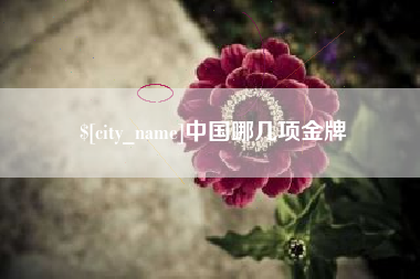 荣成中国哪几项金牌