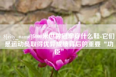 荣成5000米世界冠军穿什么鞋-它们是运动员取得优异成绩背后的重要“功臣”