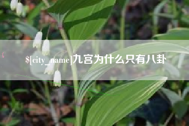 荣成九宫为什么只有八卦