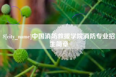 荣成中国消防救援学院消防专业招生简章
