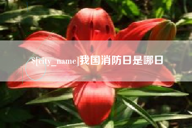 荣成我国消防日是哪日