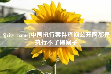 荣成中国执行案件查询公开网都是执行不了得案子