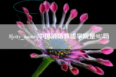 荣成中国消防救援学院是985吗