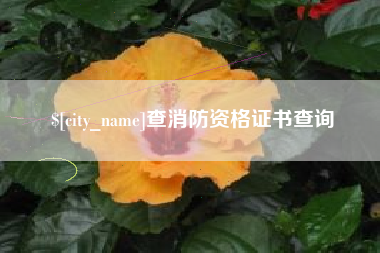 荣成查消防资格证书查询
