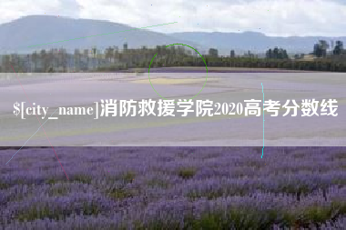荣成消防救援学院2020高考分数线
