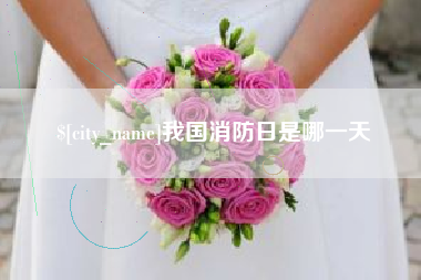 荣成我国消防日是哪一天