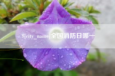 荣成全国消防日哪一