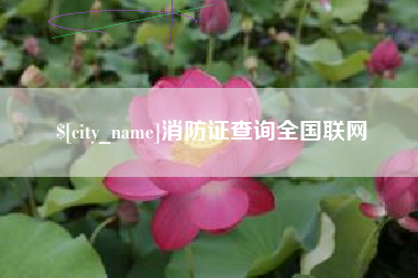 荣成消防证查询全国联网