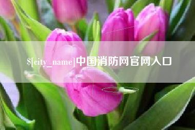 荣成中国消防网官网入口