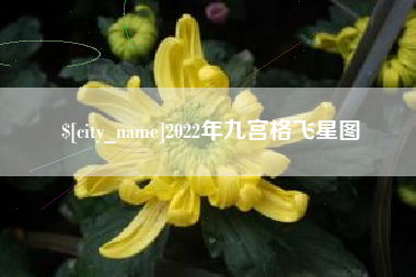 荣成2022年九宫格飞星图