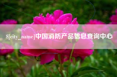 荣成中国消防产品信息查询中心