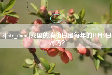 荣成我国的消防日是每年的11月9日对吗？