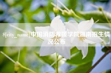 荣成中国消防救援学院湖南招生情况公布