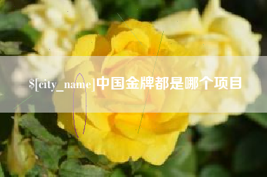 荣成中国金牌都是哪个项目