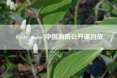 荣成中国消防公开课回放