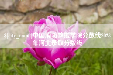 荣成中国消防救援学院分数线2023年河北录取分数线