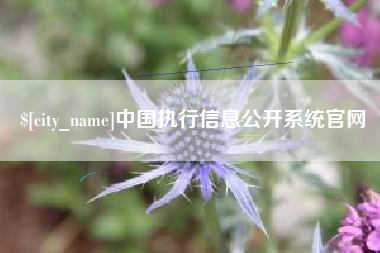 荣成中国执行信息公开系统官网