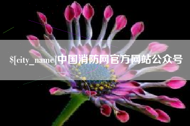 荣成中国消防网官方网站公众号