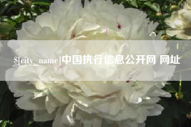 荣成中国执行信息公开网 网址