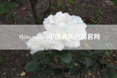 荣成中国消防产品官网