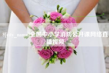 荣成全国中小学消防公开课网络直播视频