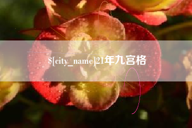 荣成21年九宫格