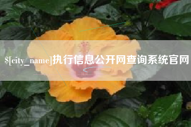 荣成执行信息公开网查询系统官网
