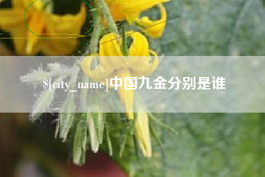 荣成中国九金分别是谁