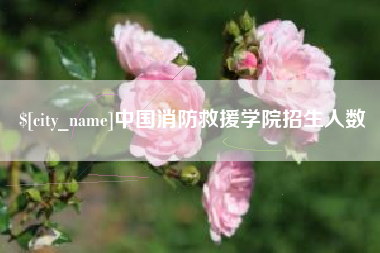 荣成中国消防救援学院招生人数