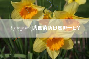 荣成我国消防日是哪一日？
