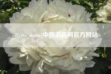 荣成中国消防网官方网站