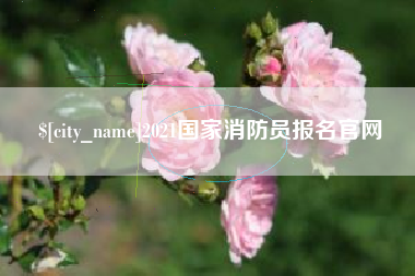 荣成2021国家消防员报名官网