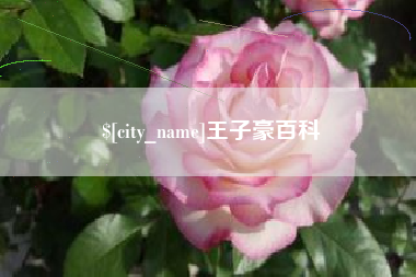 荣成王子豪百科