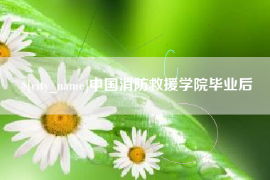 荣成中国消防救援学院毕业后