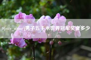 荣成男子五千米世界冠军奖金多少