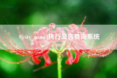 荣成执行公告查询系统
