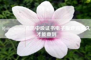 荣成消防中级证书电子版查询多久才能查到