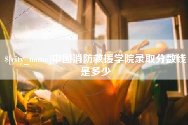 荣成中国消防救援学院录取分数线是多少